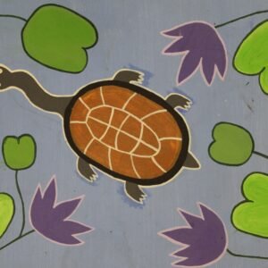 Long Neck Turtle