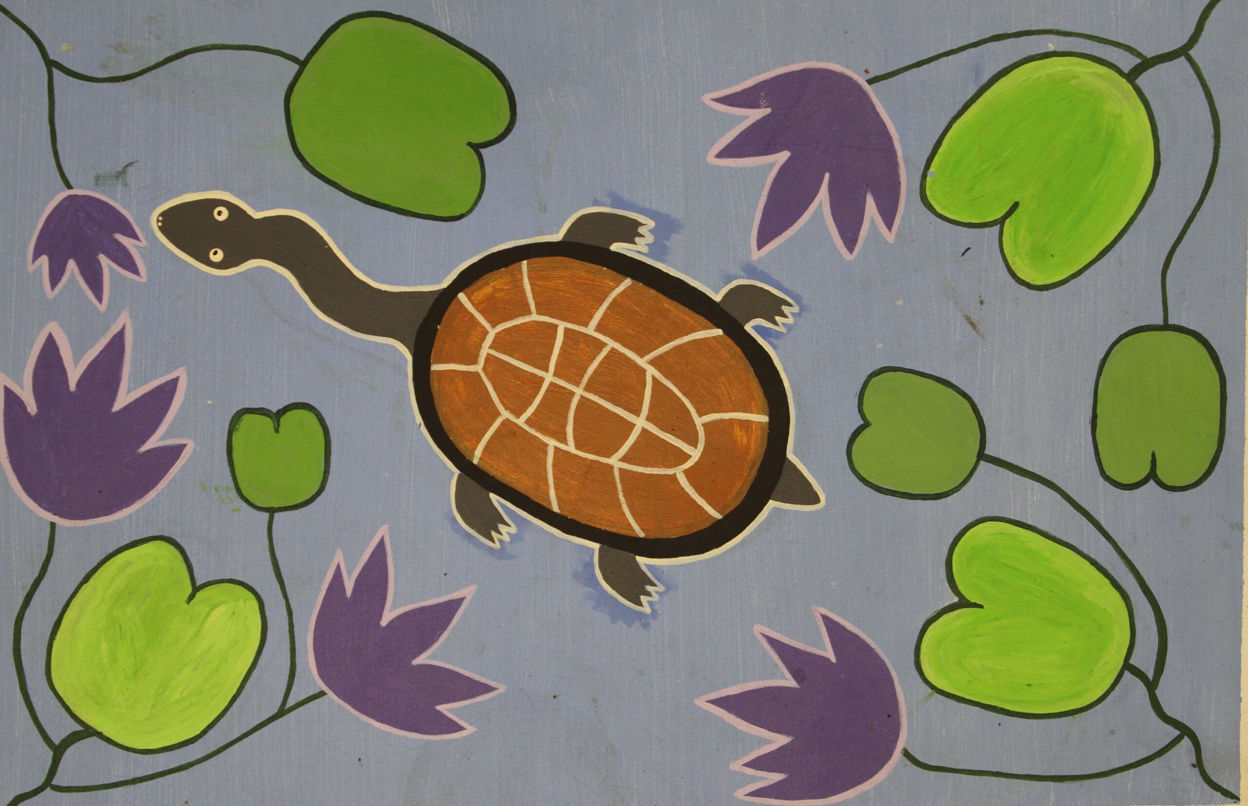 Long Neck Turtle