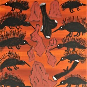 Nyinbu (Echidna) breaking open the Ant Hills