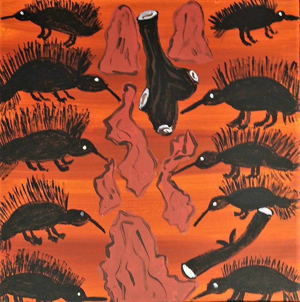 Nyinbu (Echidna) breaking open the Ant Hills