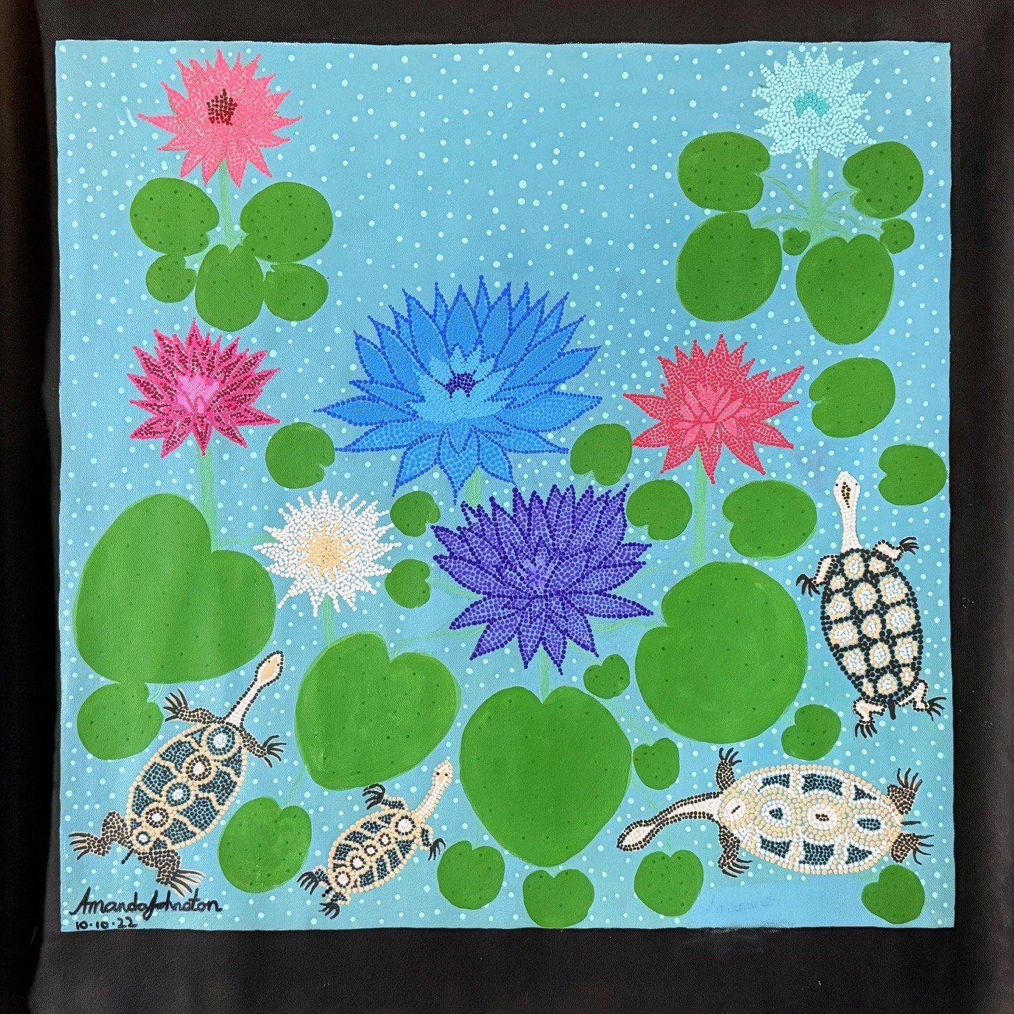 Fresh Water Turtles