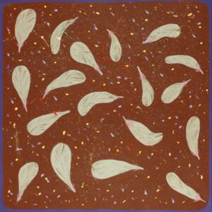 Galah Feathers