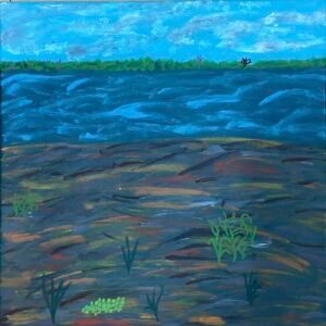 Sea Grass in Marra Country