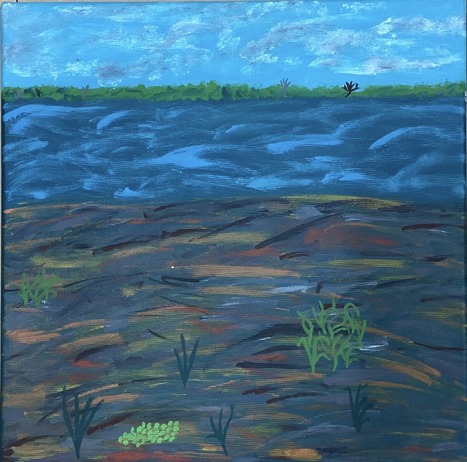 Sea Grass in Marra Country