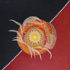Crab in Sunburnt country