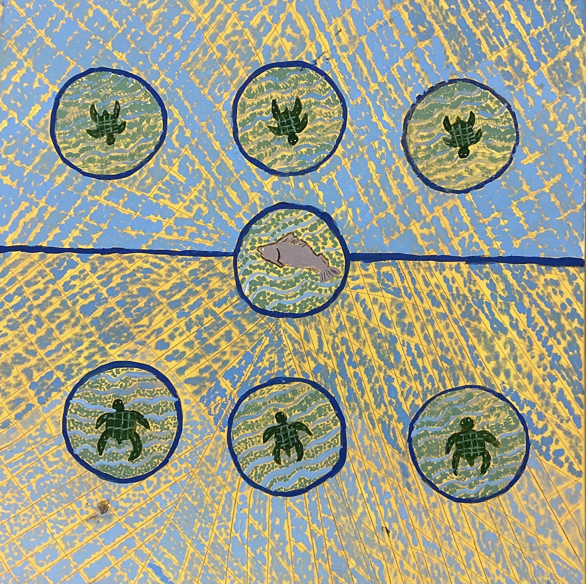 Sea turtles Around the Coral Reef - Garrwa Story