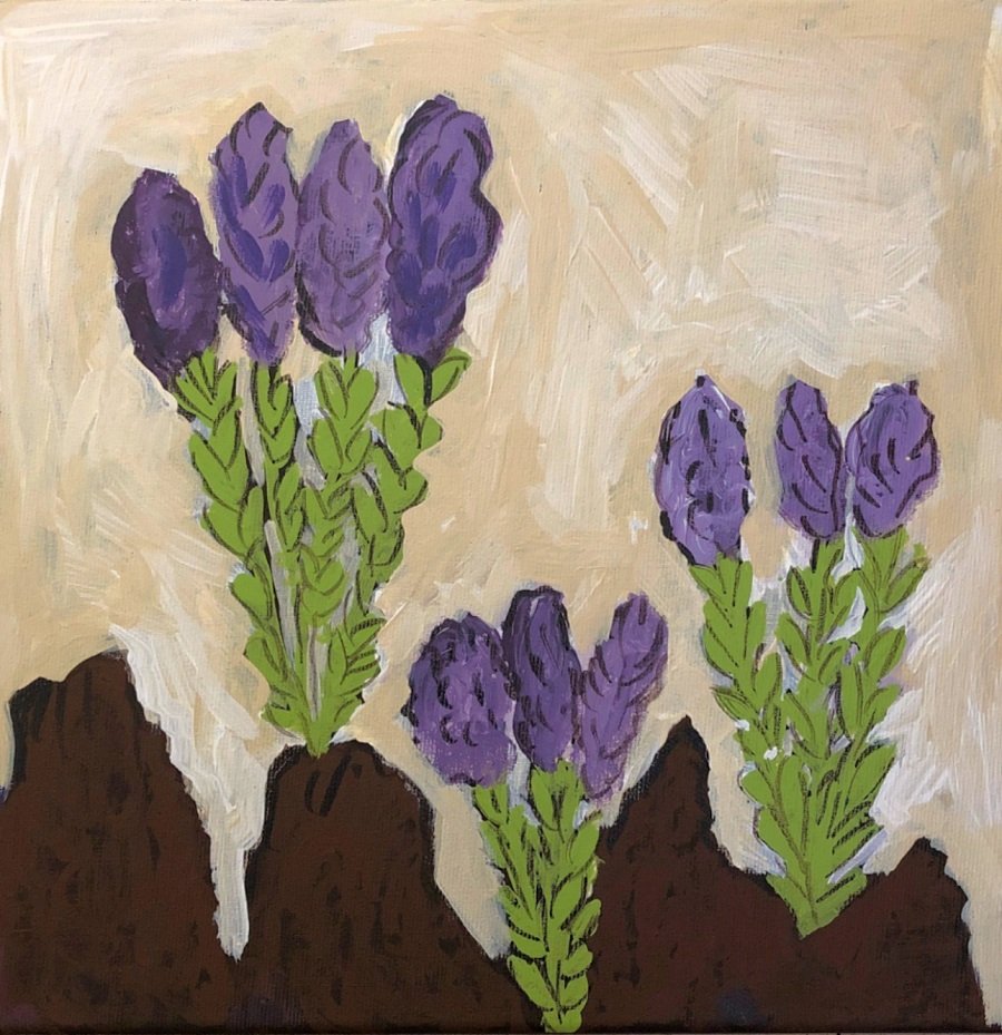 Bush Medicine - Jinma (Marra)