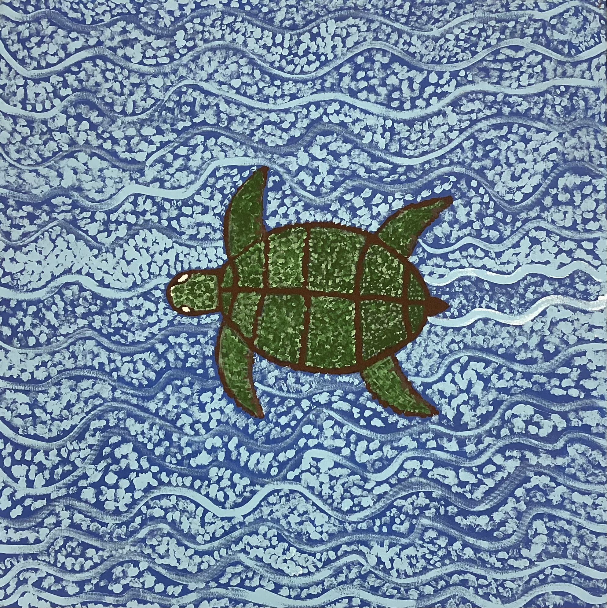 Sea turtles Around the Coral Reef - Garrwa Story