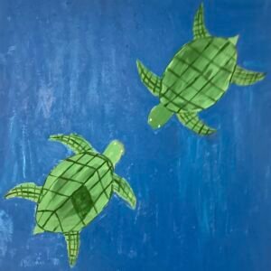Turtle Breeding Season