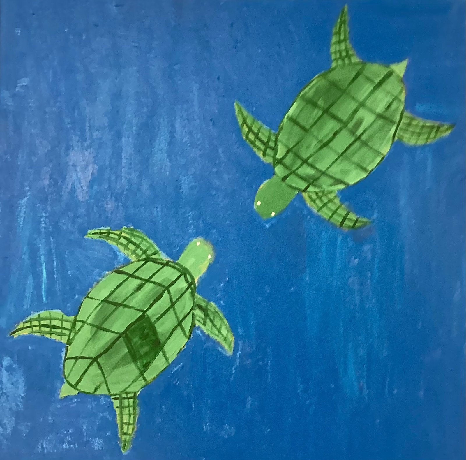 Turtle Breeding Season