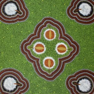 Kanta - Bush Coconut (Warlmanpa)