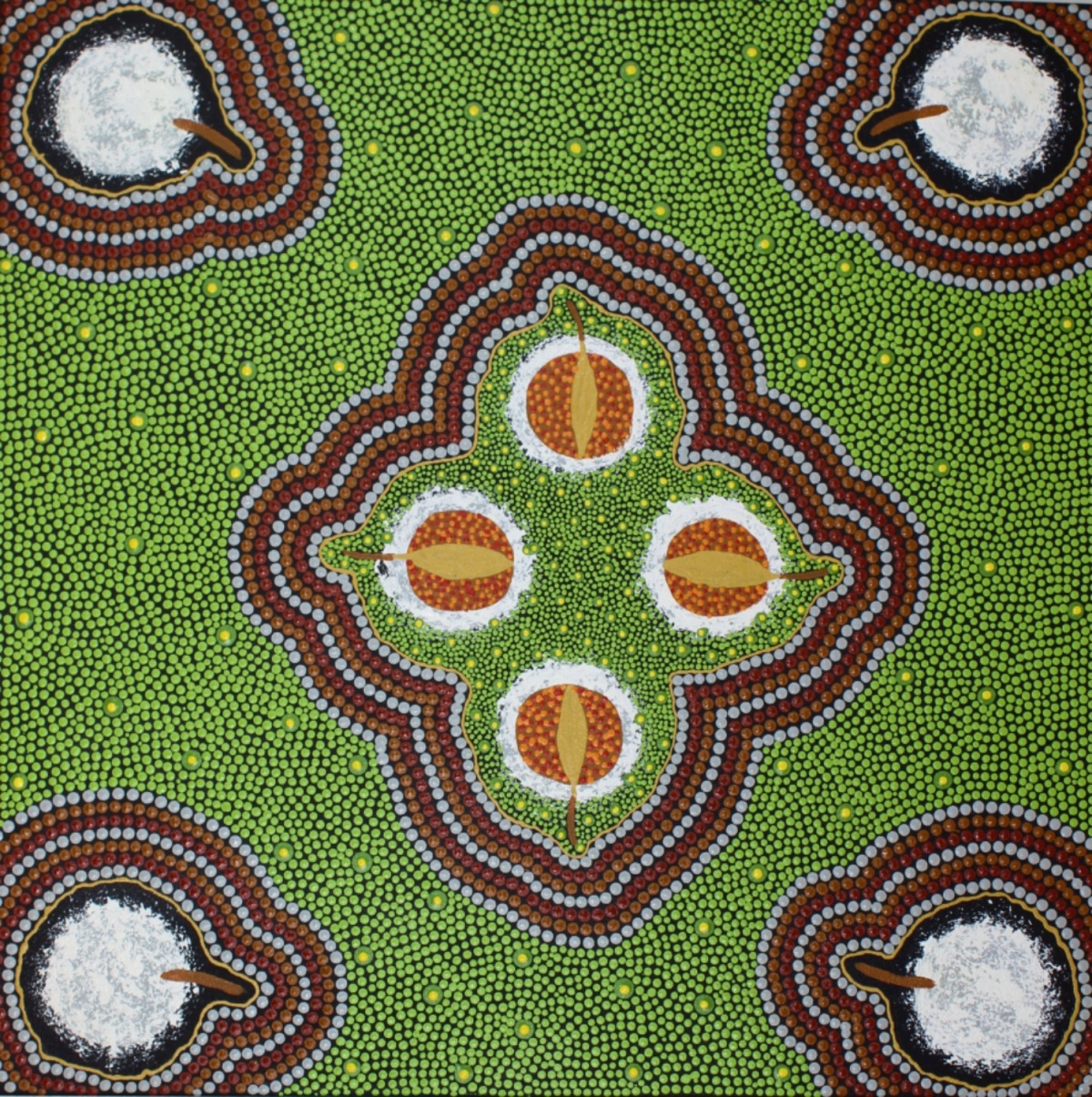 Kanta - Bush Coconut (Warlmanpa)