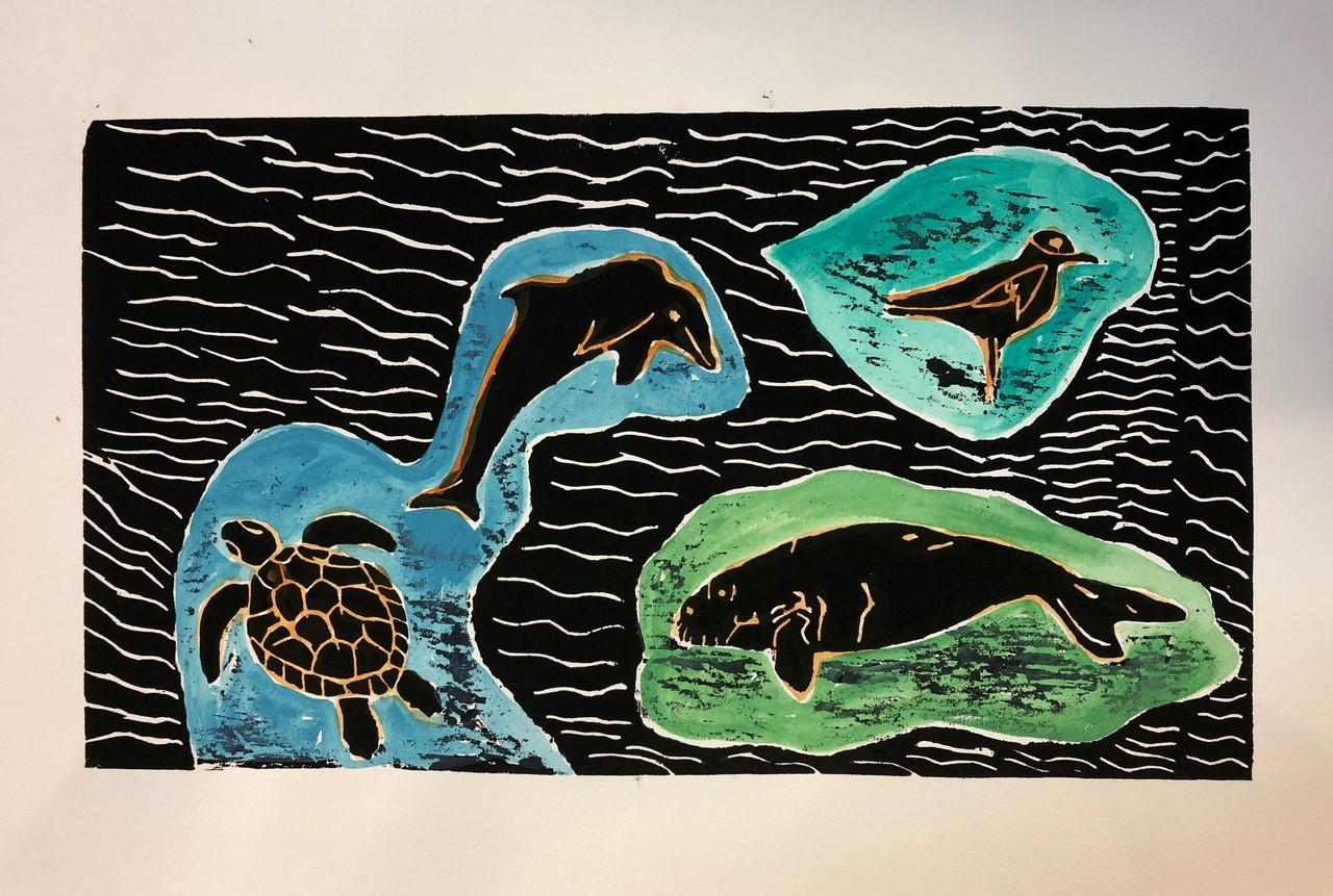 Salt Water Animals in the Gulf