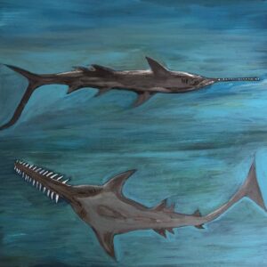 Aamurrba - Sawfish