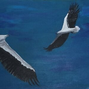 Ngurrulku -Sea Eagle (Garrwa)