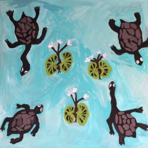 Fresh Water Turtles