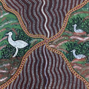 Bush Turkey