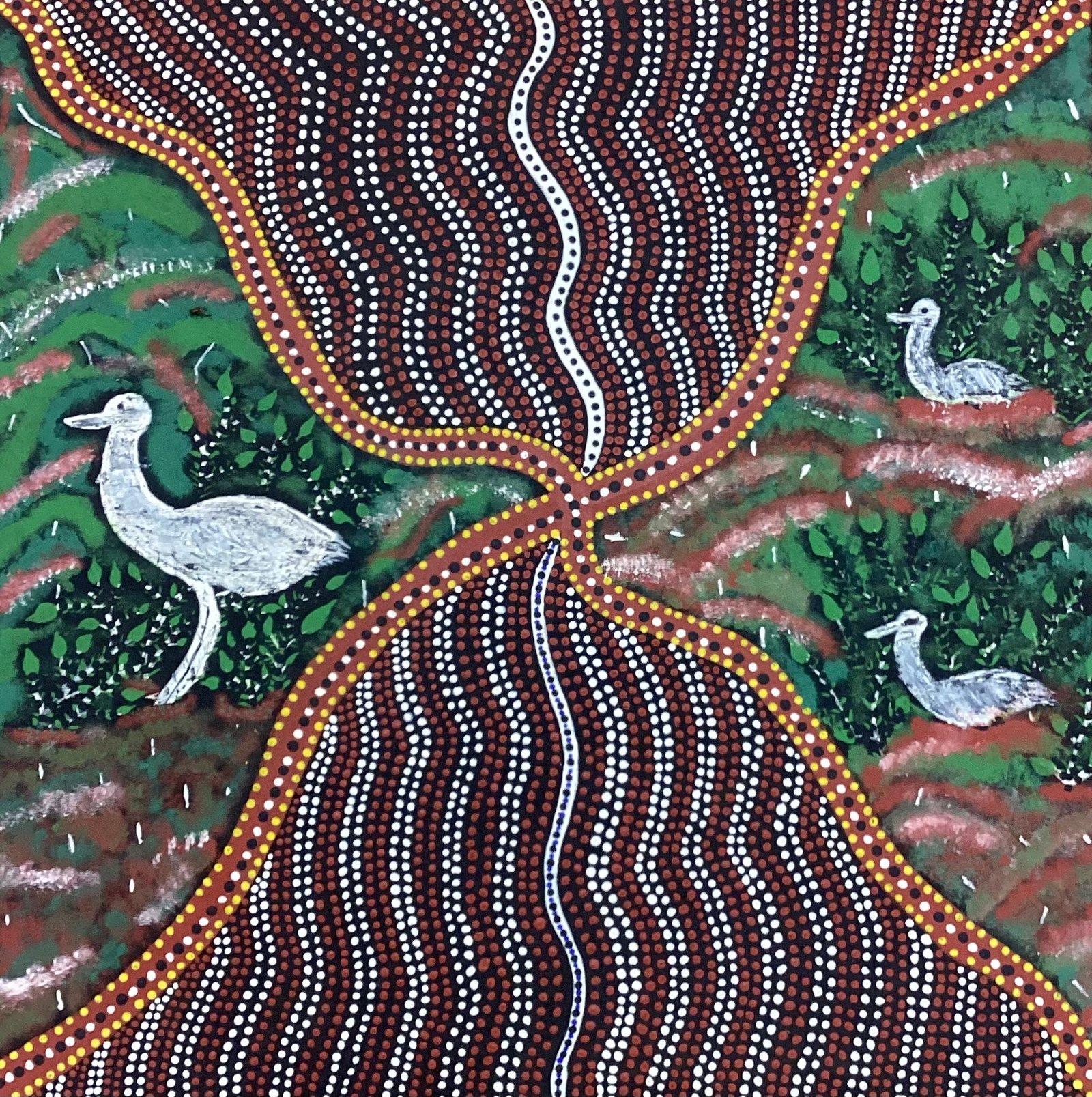 Bush Turkey