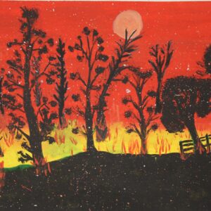 Bush Fires during Dry Season