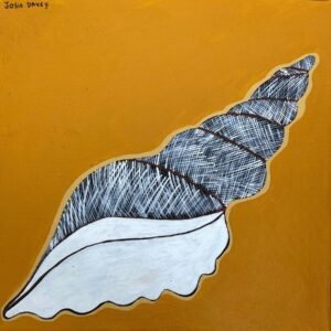 A-rabijinda (Giant Conch Shell)