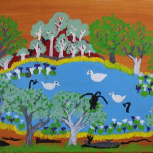 Sacred Place - Billabong where all the Animals and Insects come for Water.